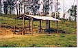 s.Isabel.jpg (15515 bytes)