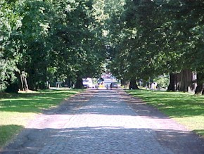 tong35.jpg (32605 bytes)