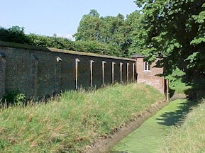 tong38.jpg (30566 bytes)